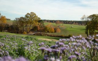 Golf-Club Herzogenaurach | News - Platz in der Natur